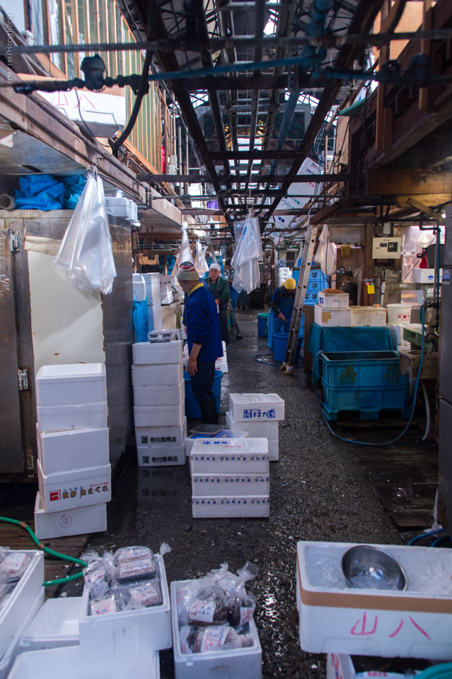 Tokyo - Japan - 2016