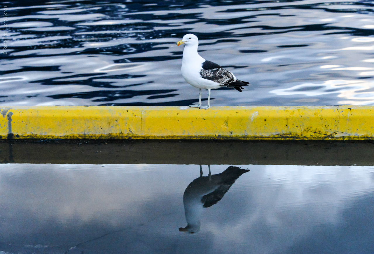 Ushuaia - Argentina - 2013