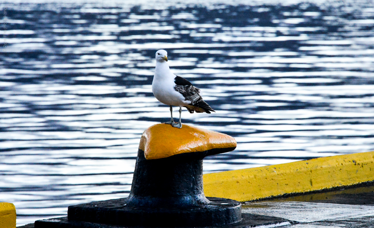 Ushuaia - Argentina - 2013