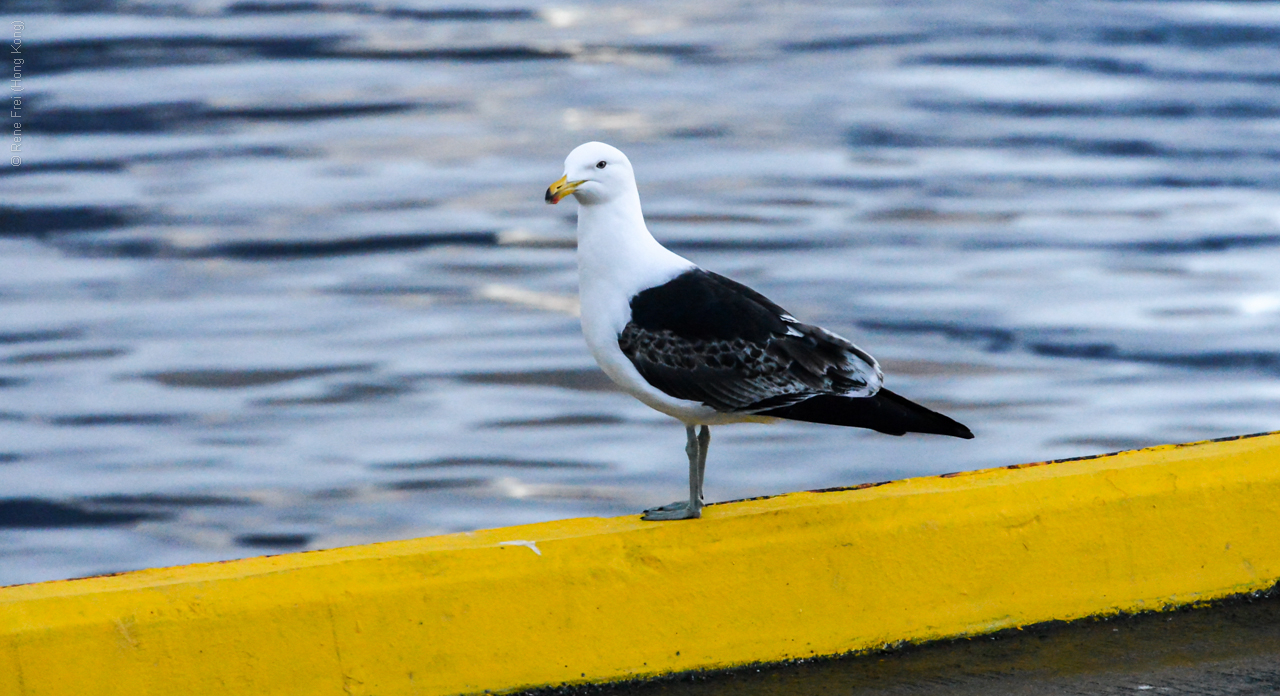 Ushuaia - Argentina - 2013