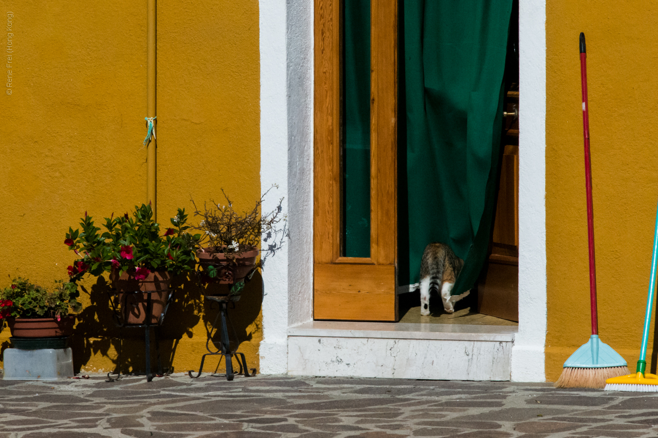 Venice - Italy - 2014