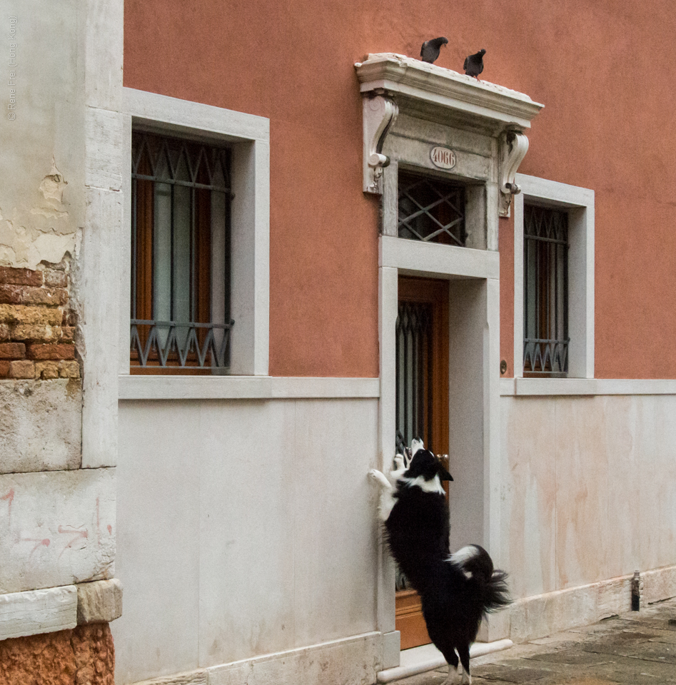 Venice - Italy - 2014