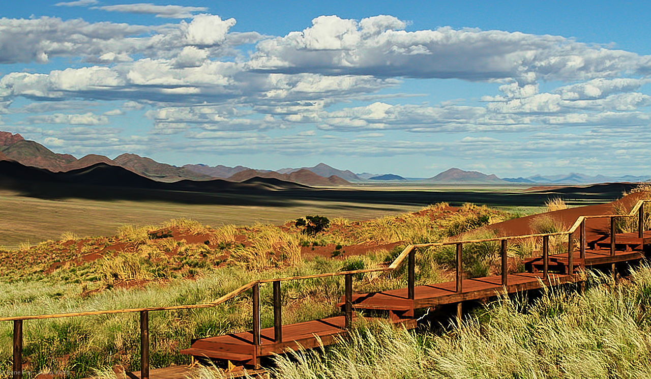 Wolwedans - Namibia - 2008