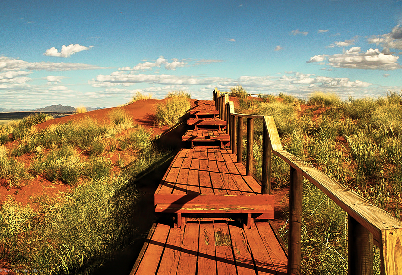 Wolwedans - Namibia - 2008