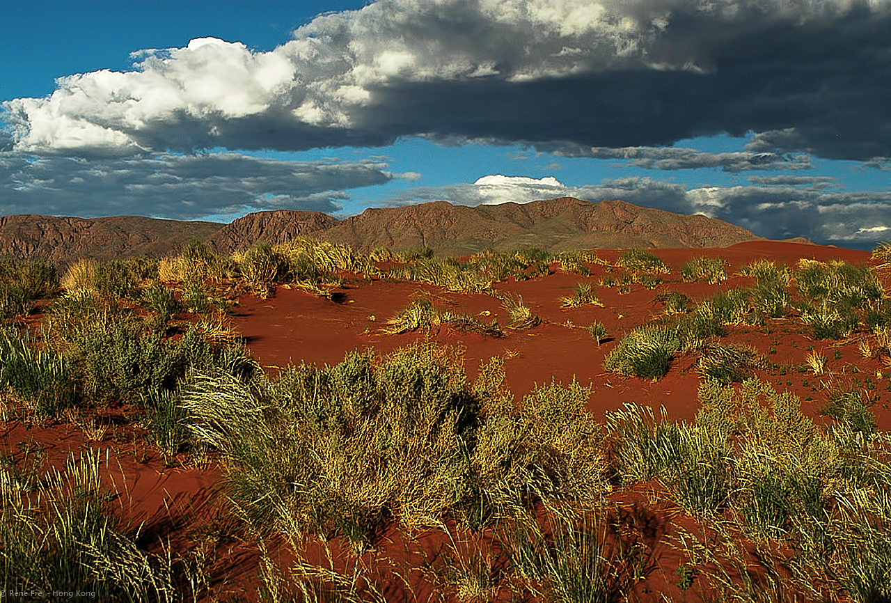 Wolwedans - Namibia - 2008