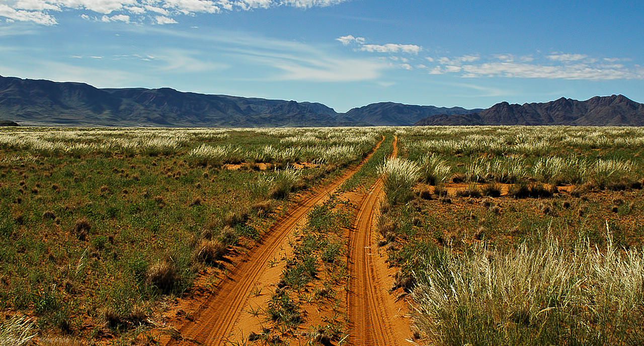 Wolwedans - Namibia - 2008