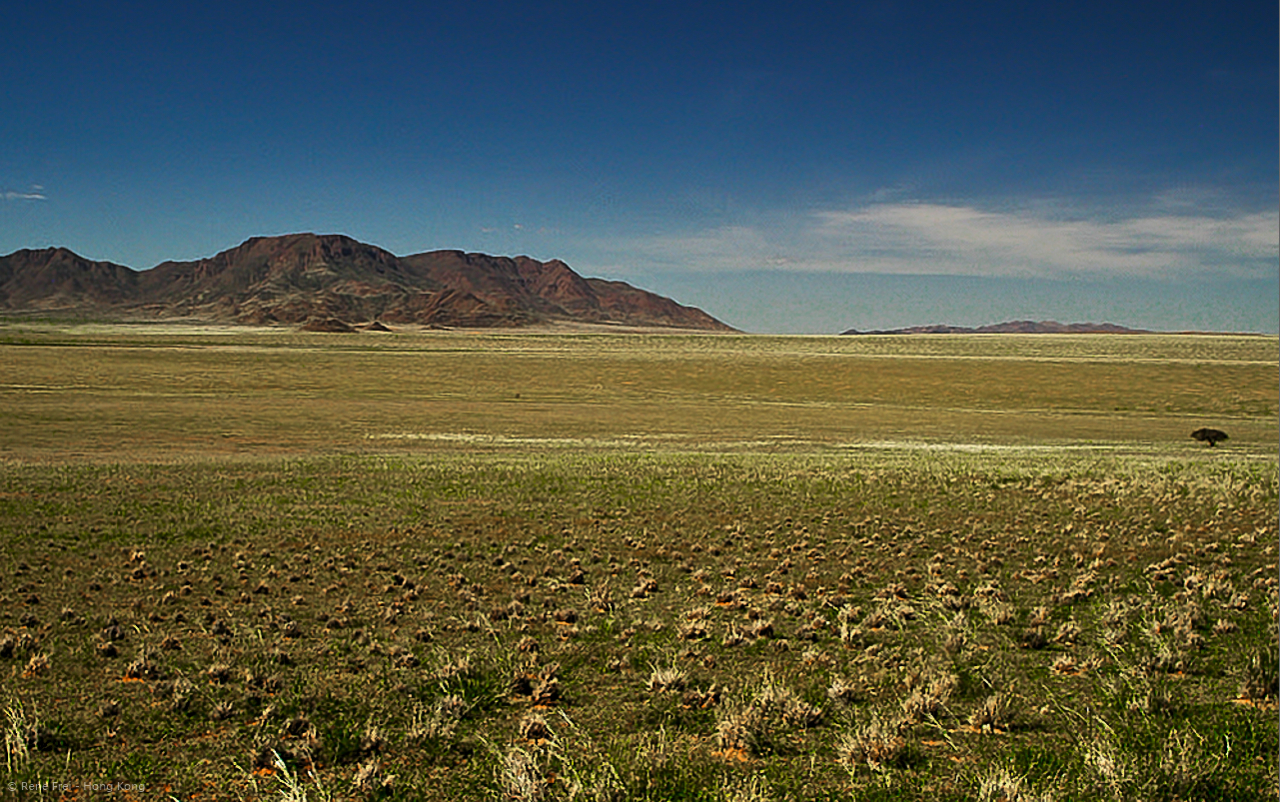 Wolwedans - Namibia - 2008