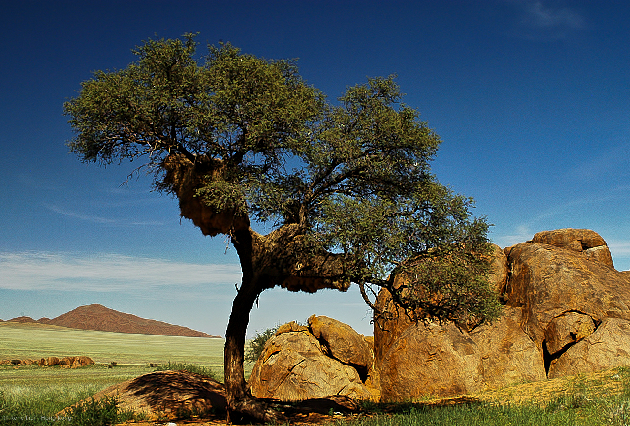 Wolwedans - Namibia - 2008