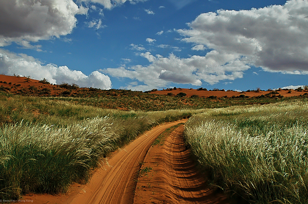 Wolwedans - Namibia - 2008