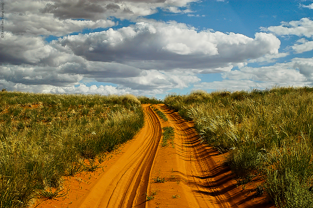 Wolwedans - Namibia - 2008