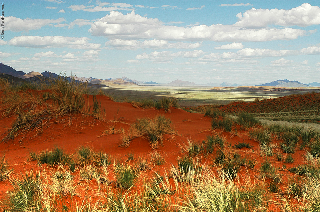 Wolwedans - Namibia - 2008