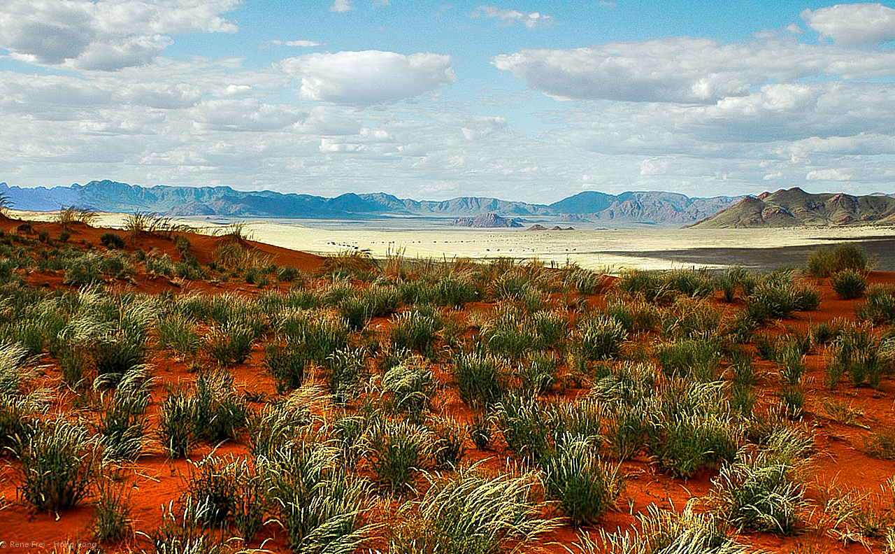 Wolwedans - Namibia - 2008