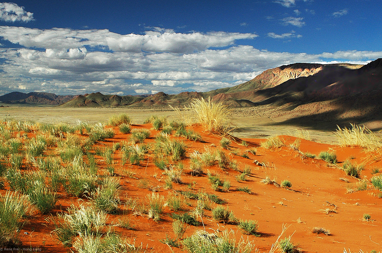 Wolwedans - Namibia - 2008