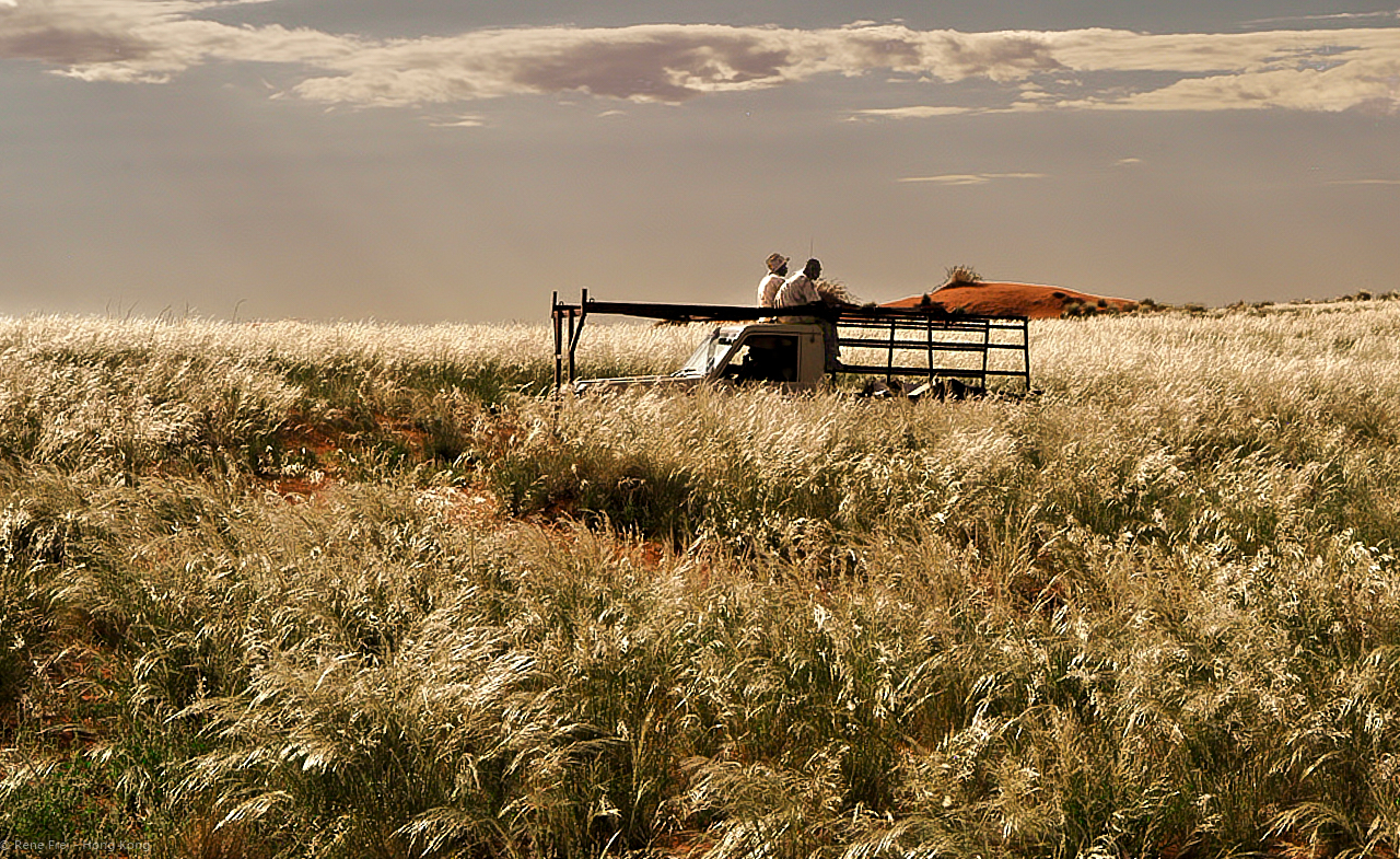 Wolwedans - Namibia - 2008