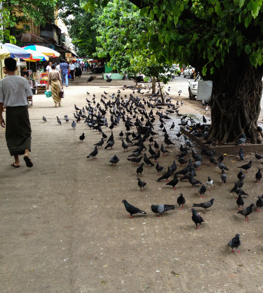 Yangon - Myanmar - 2014