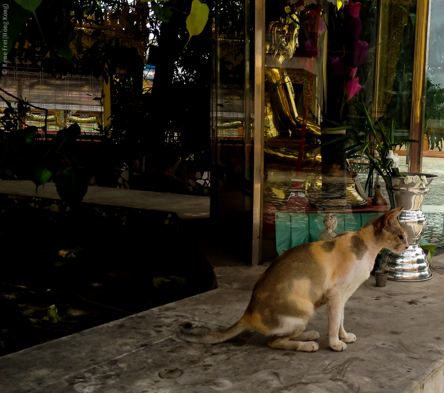 Yangon - Myanmar - 2014