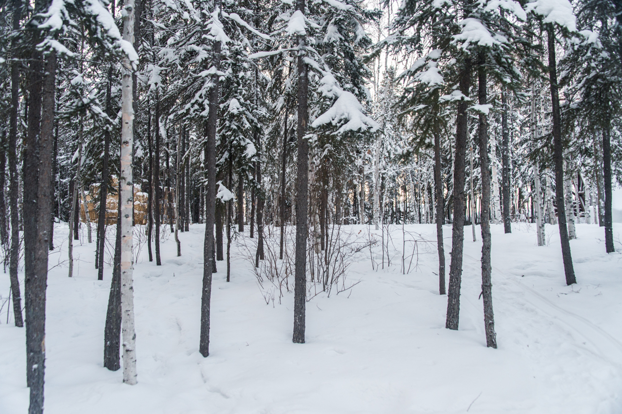 Yellowknife - Canada - 2019