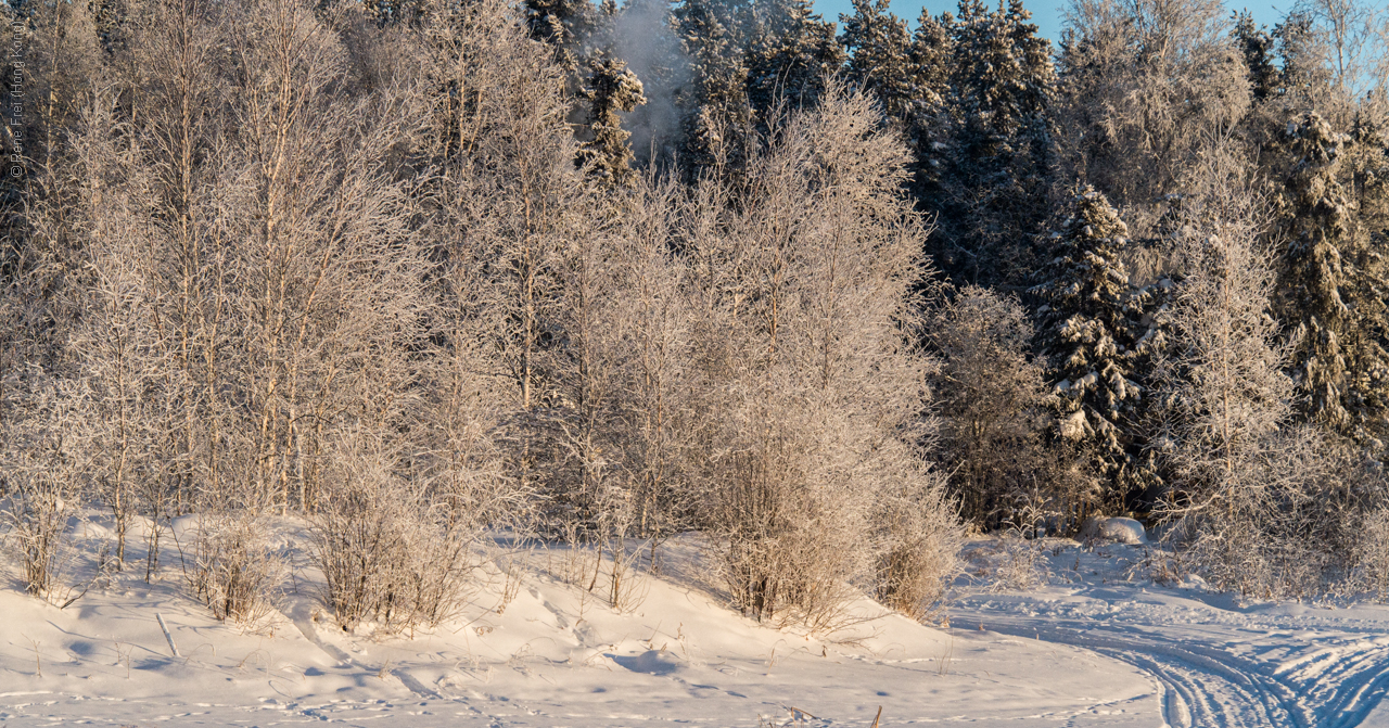 Yellowknife - Canada - 2019