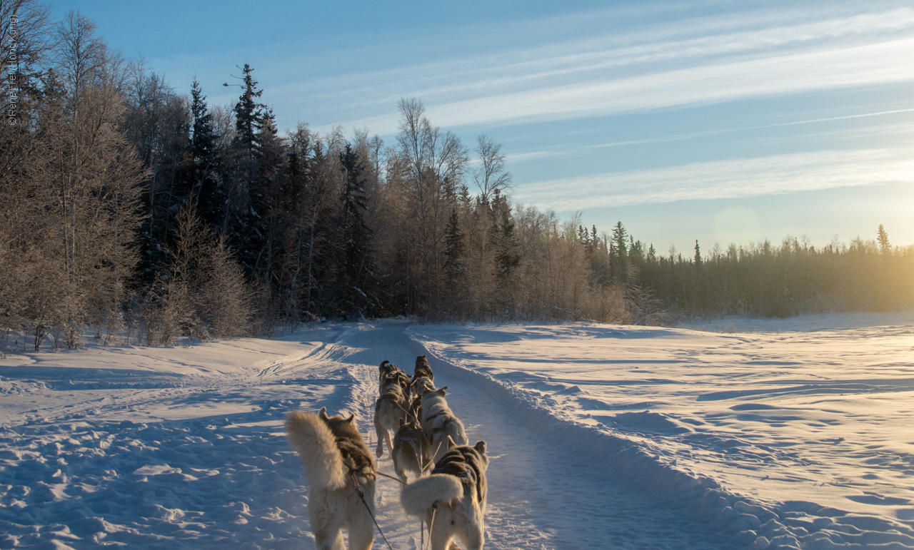 Yellowknife - Canada - 2019